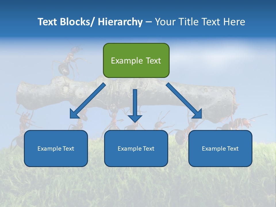 Workers Ants Wood PowerPoint Template