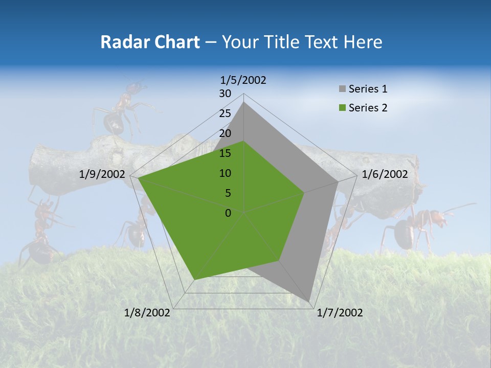 Workers Ants Wood PowerPoint Template