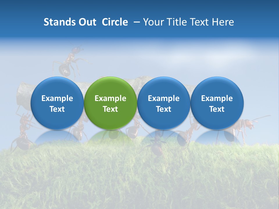 Workers Ants Wood PowerPoint Template