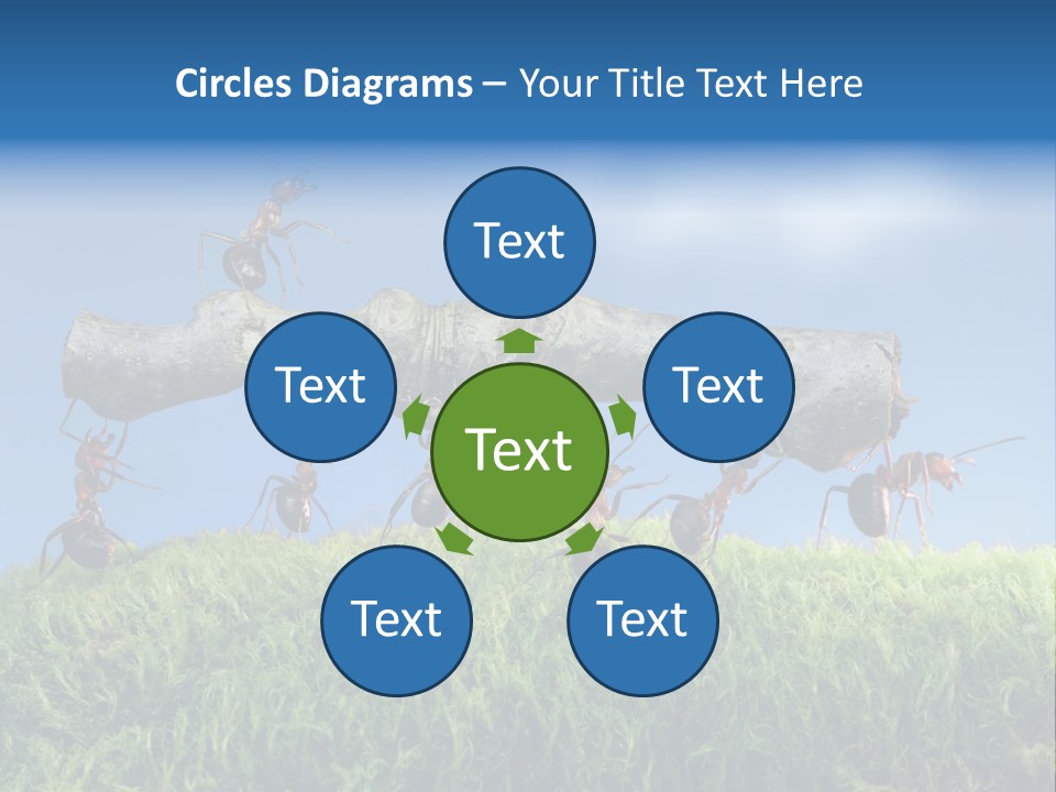 Workers Ants Wood PowerPoint Template