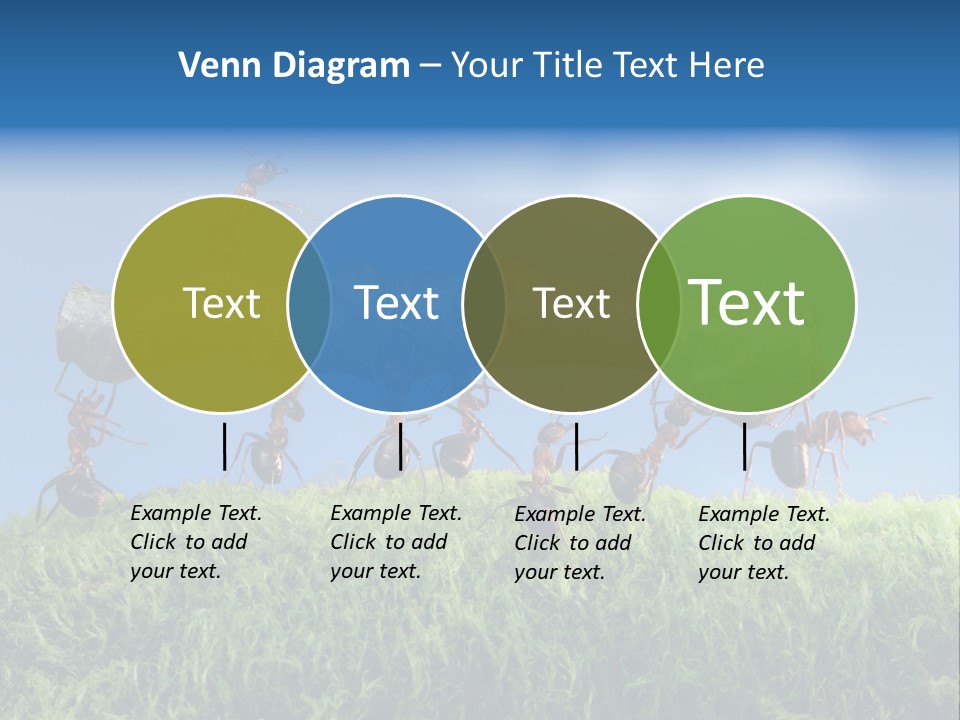 Workers Ants Wood PowerPoint Template