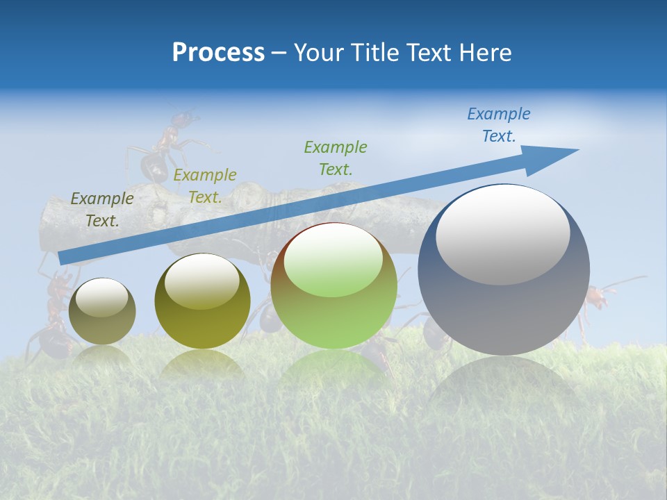 Workers Ants Wood PowerPoint Template