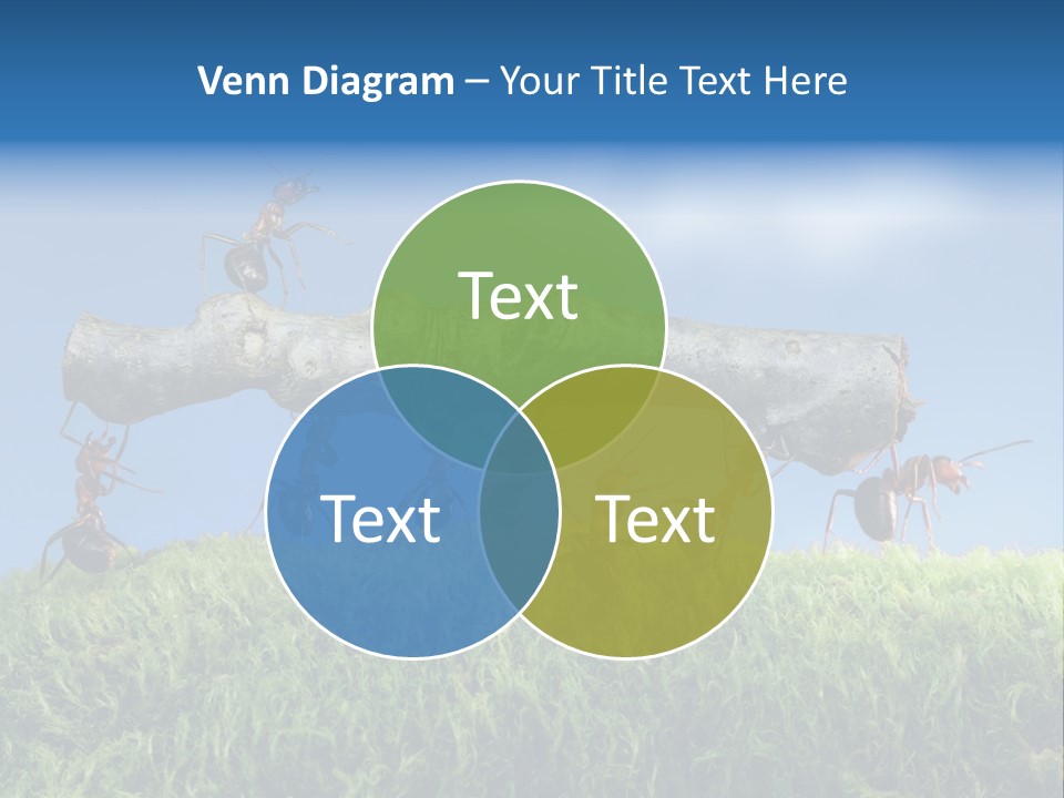 Workers Ants Wood PowerPoint Template