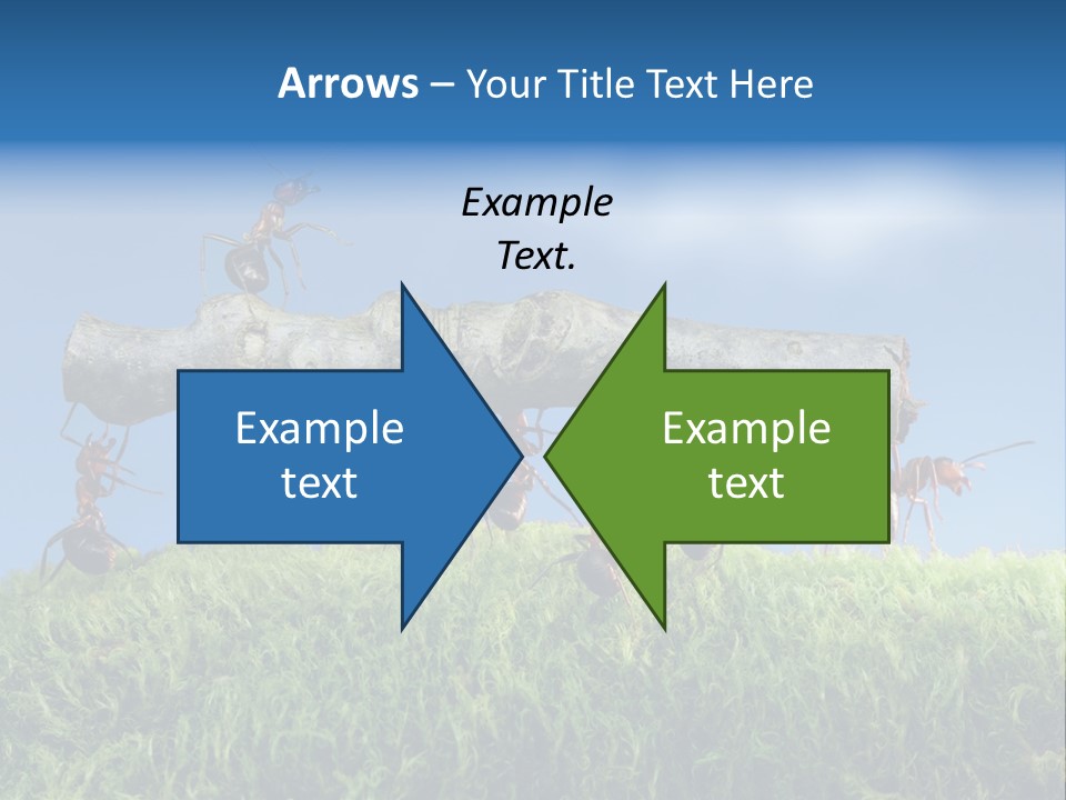 Workers Ants Wood PowerPoint Template