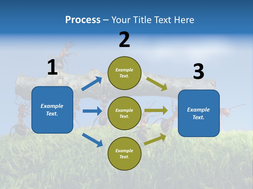 Workers Ants Wood PowerPoint Template