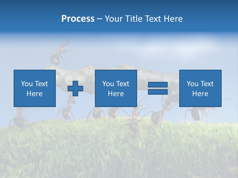 Workers Ants Wood PowerPoint Template