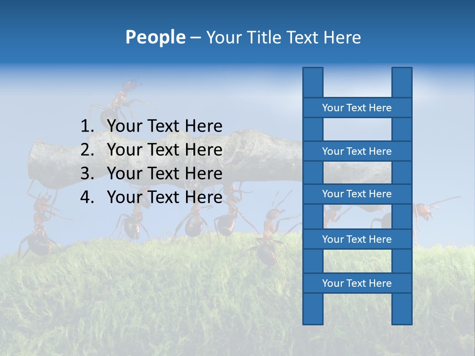 Workers Ants Wood PowerPoint Template