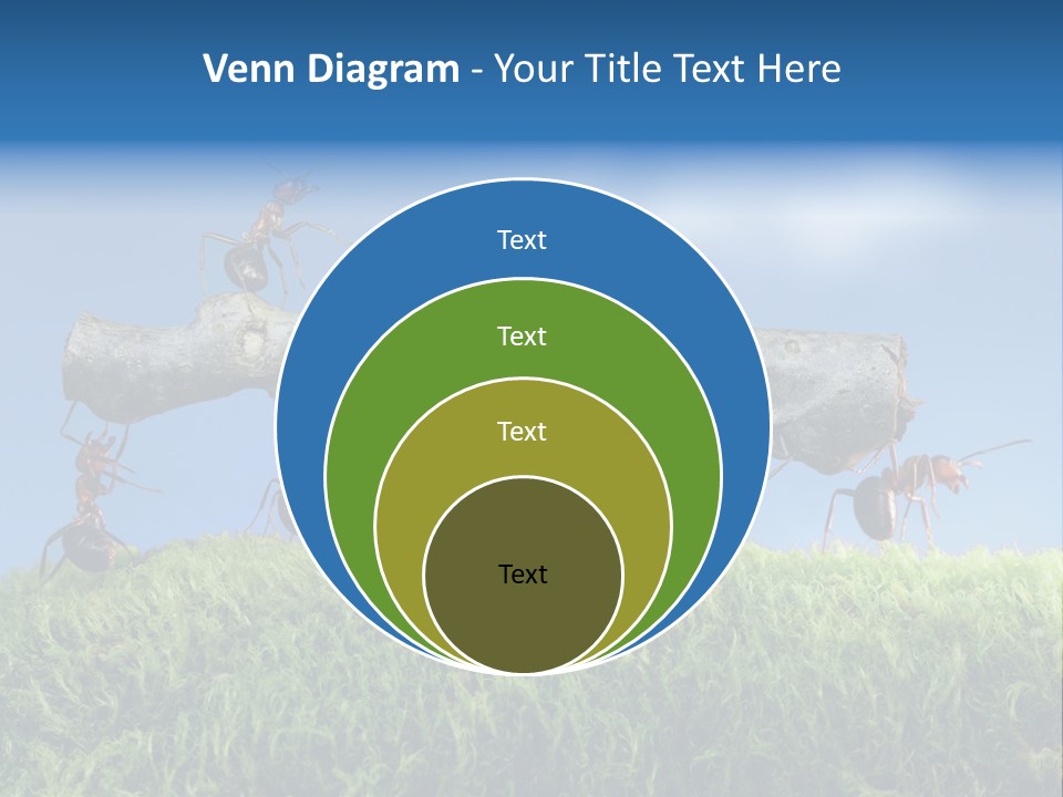 Workers Ants Wood PowerPoint Template