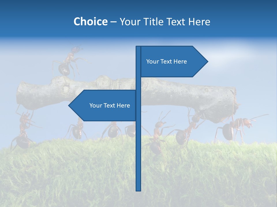 Workers Ants Wood PowerPoint Template