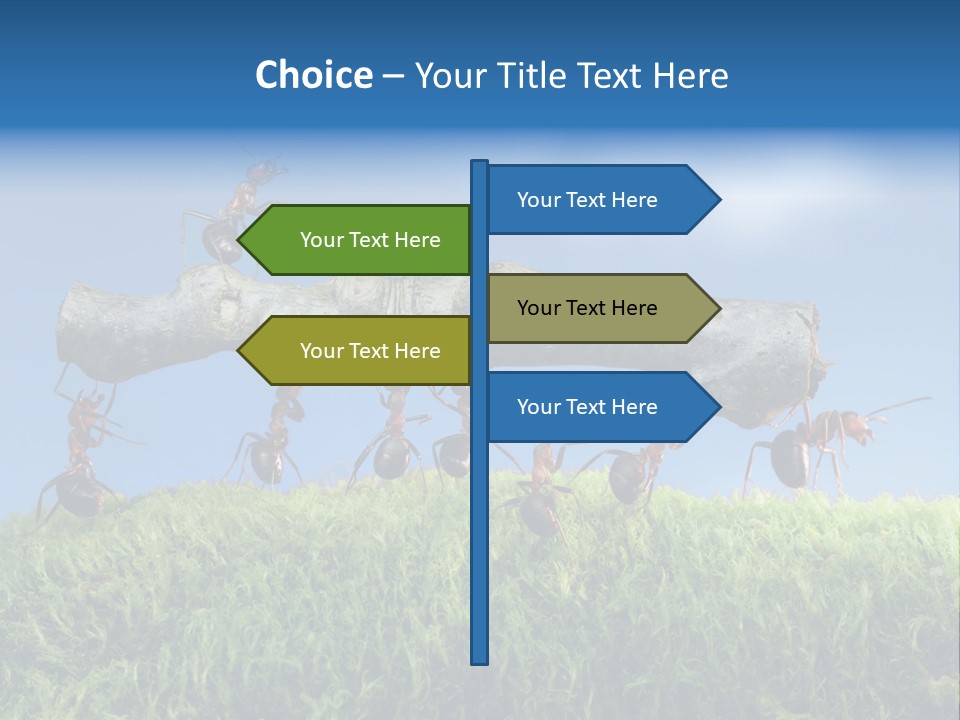 Workers Ants Wood PowerPoint Template
