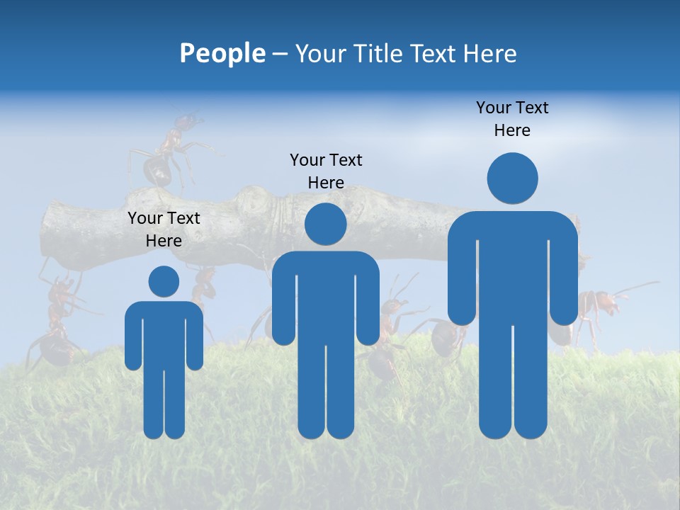 Workers Ants Wood PowerPoint Template