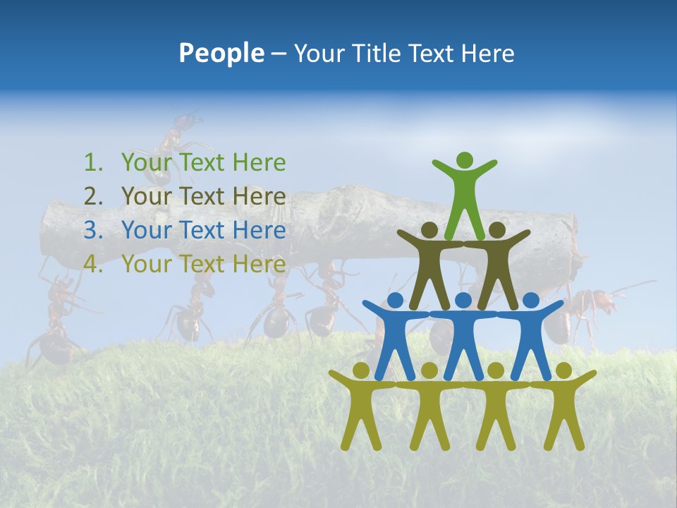 Workers Ants Wood PowerPoint Template