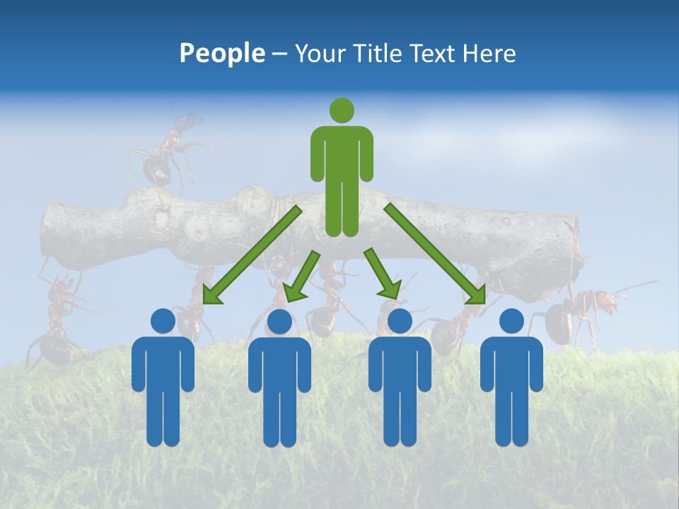 Workers Ants Wood PowerPoint Template