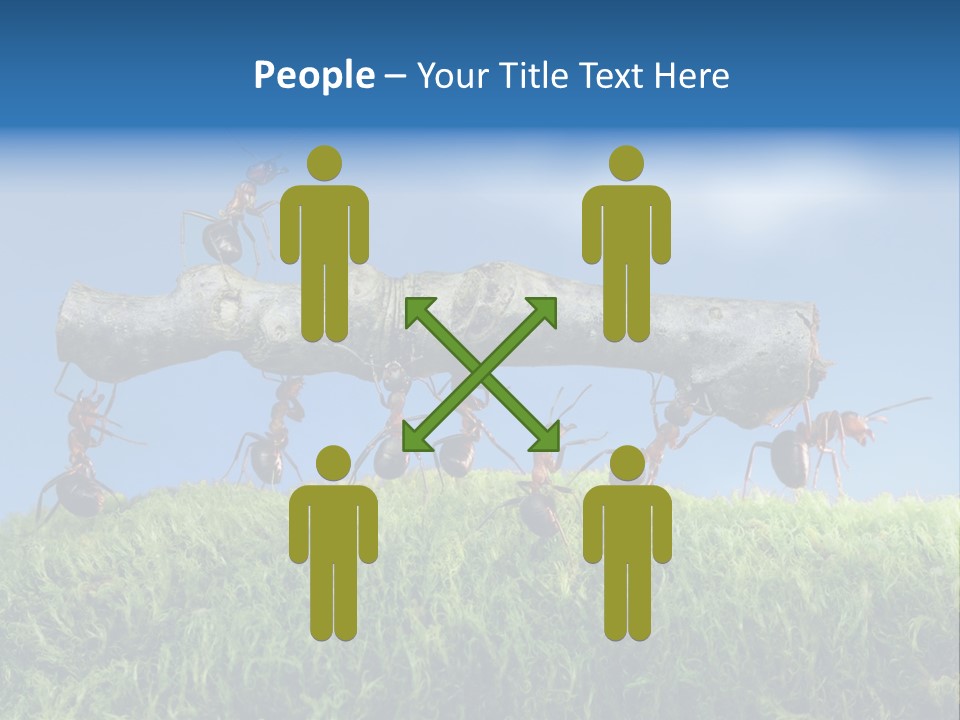 Workers Ants Wood PowerPoint Template