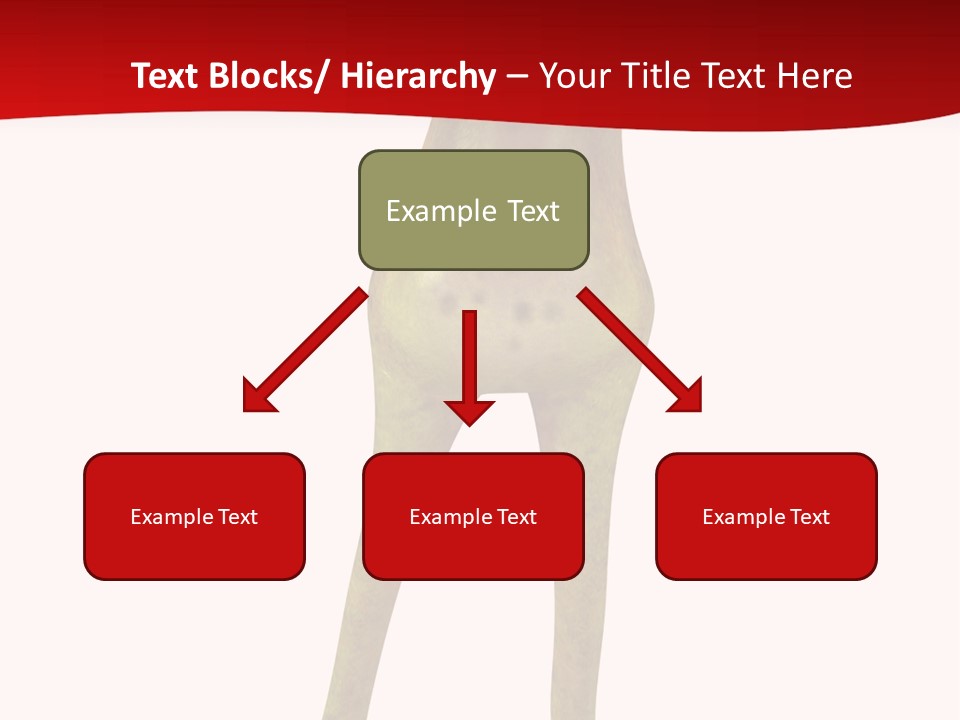 Tropical Closeup Jump PowerPoint Template