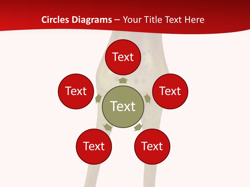 Tropical Closeup Jump PowerPoint Template