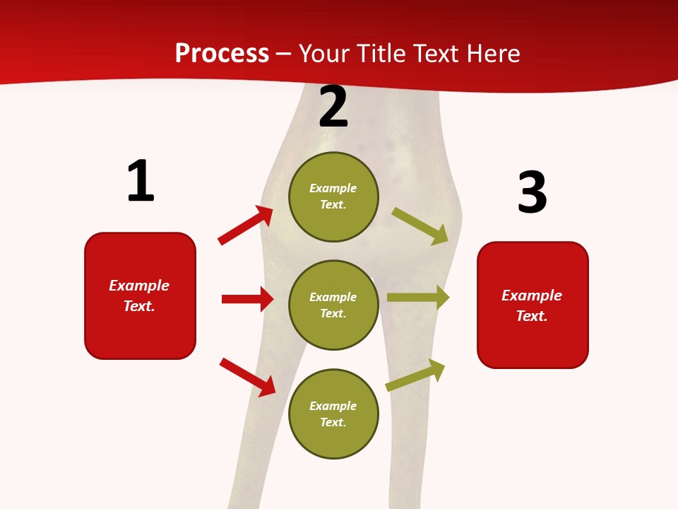 Tropical Closeup Jump PowerPoint Template