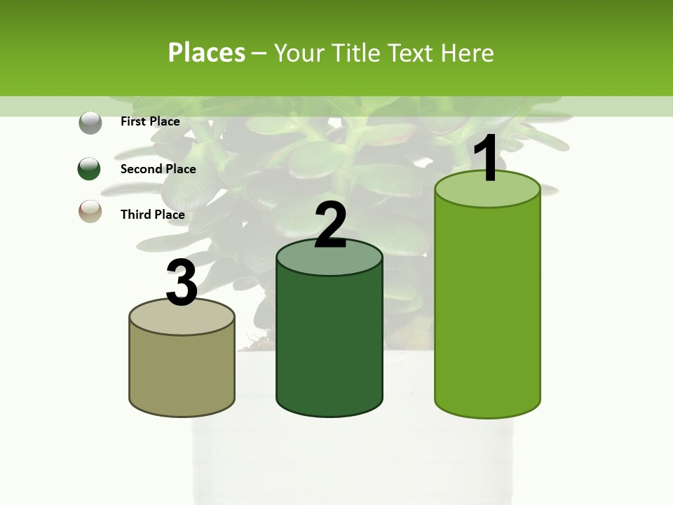 Floral Indoor Color PowerPoint Template