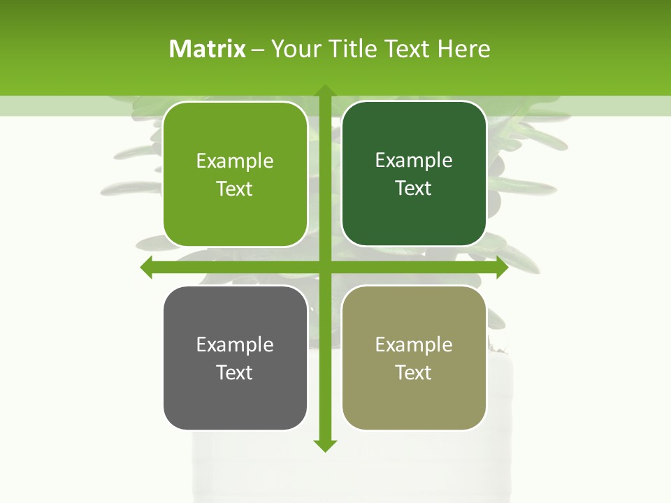 Floral Indoor Color PowerPoint Template