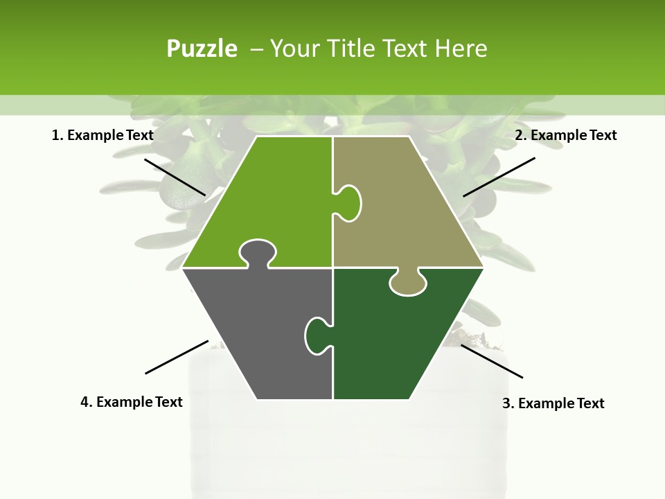 Floral Indoor Color PowerPoint Template