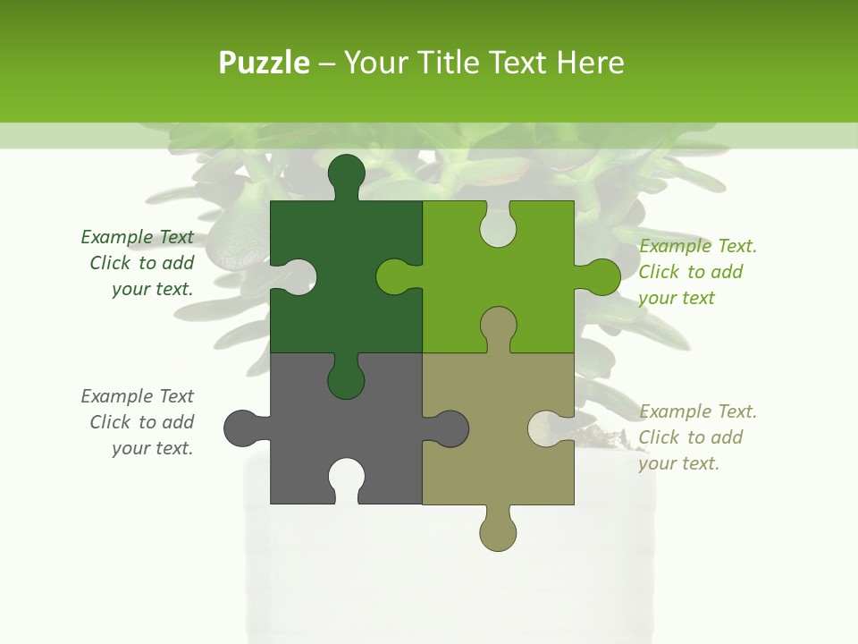 Floral Indoor Color PowerPoint Template