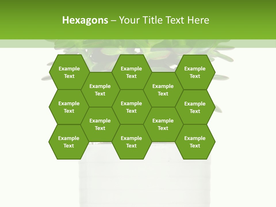 Floral Indoor Color PowerPoint Template