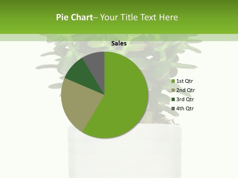 Floral Indoor Color PowerPoint Template