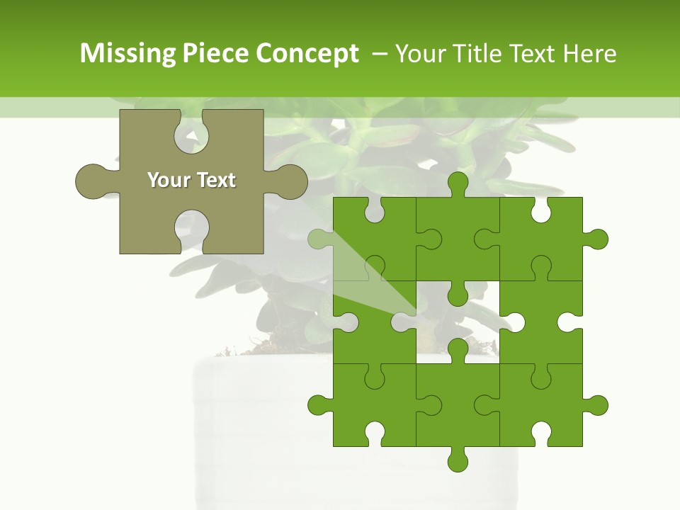 Floral Indoor Color PowerPoint Template