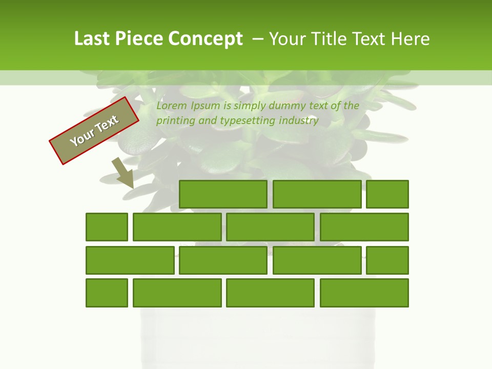 Floral Indoor Color PowerPoint Template