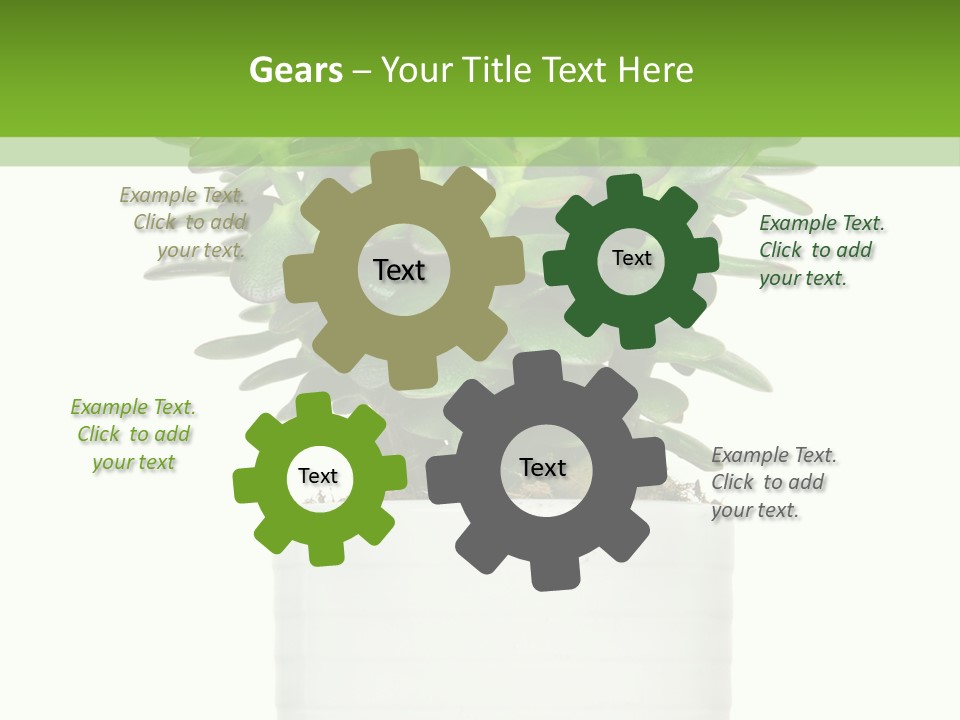 Floral Indoor Color PowerPoint Template