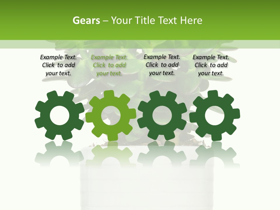 Floral Indoor Color PowerPoint Template