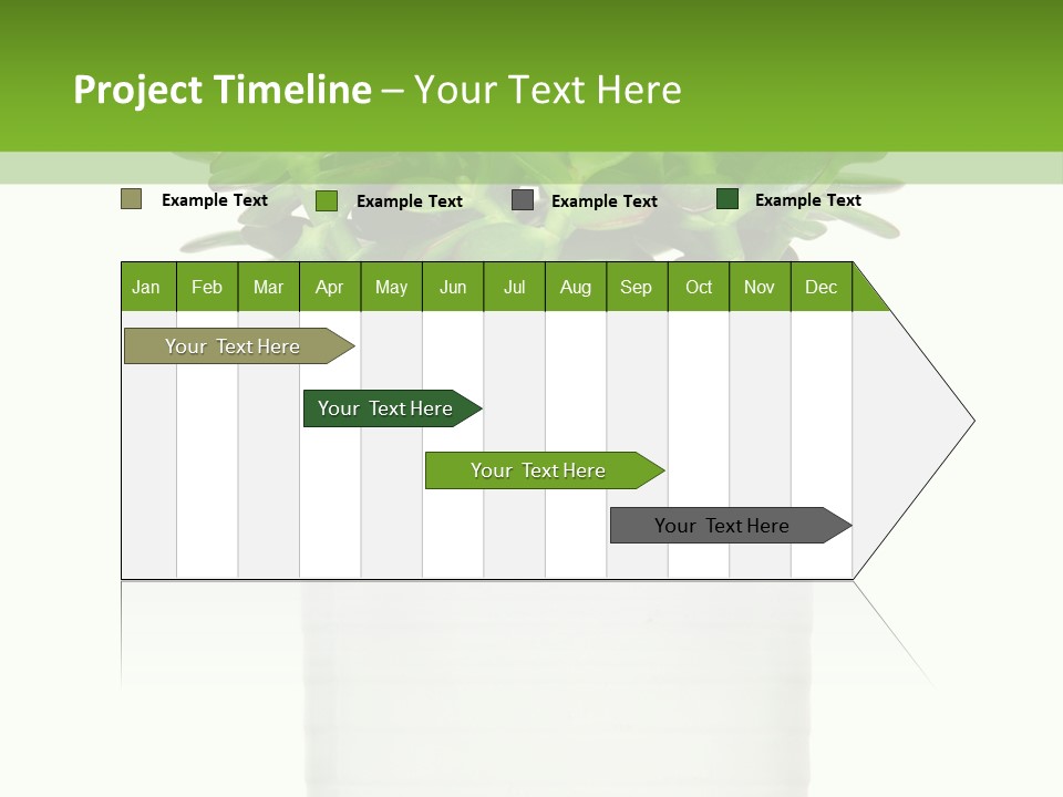 Floral Indoor Color PowerPoint Template