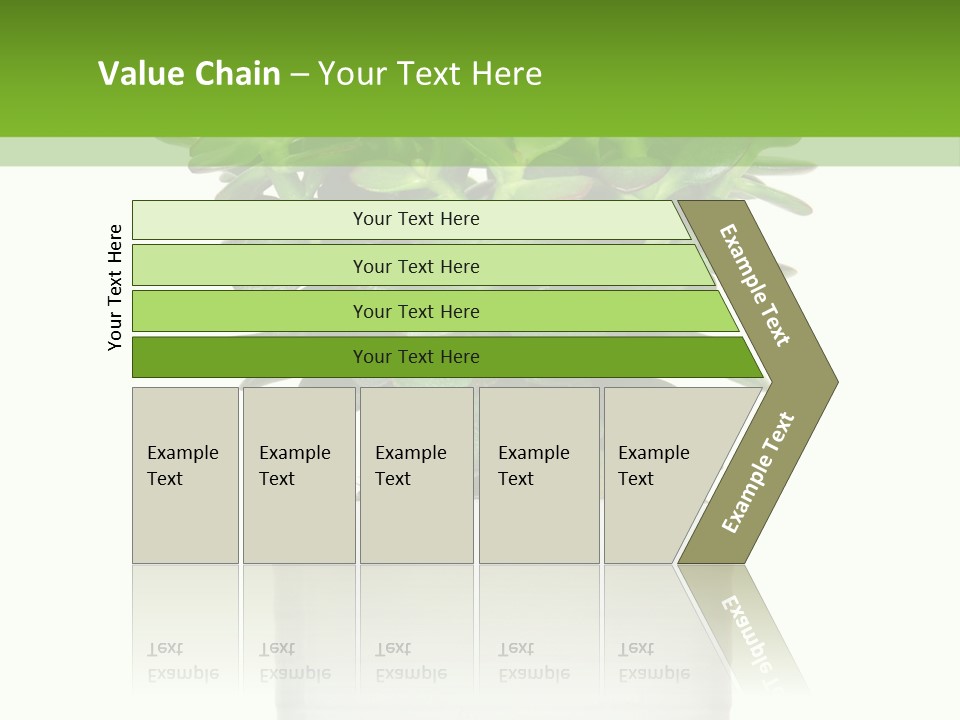 Floral Indoor Color PowerPoint Template