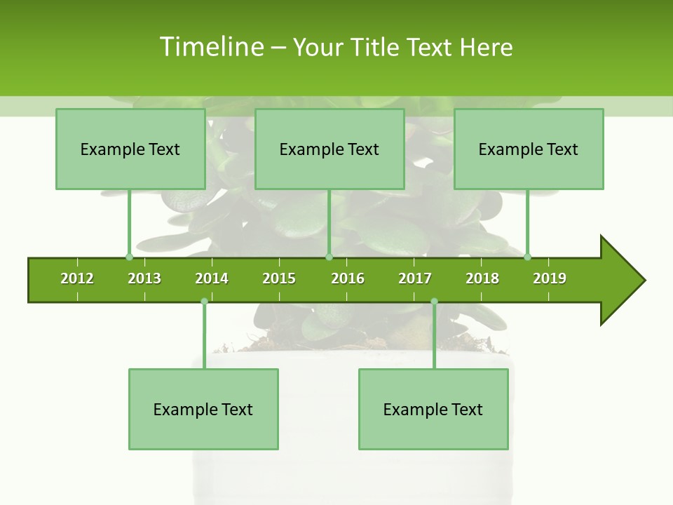 Floral Indoor Color PowerPoint Template