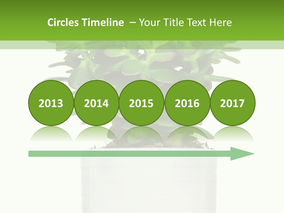 Floral Indoor Color PowerPoint Template