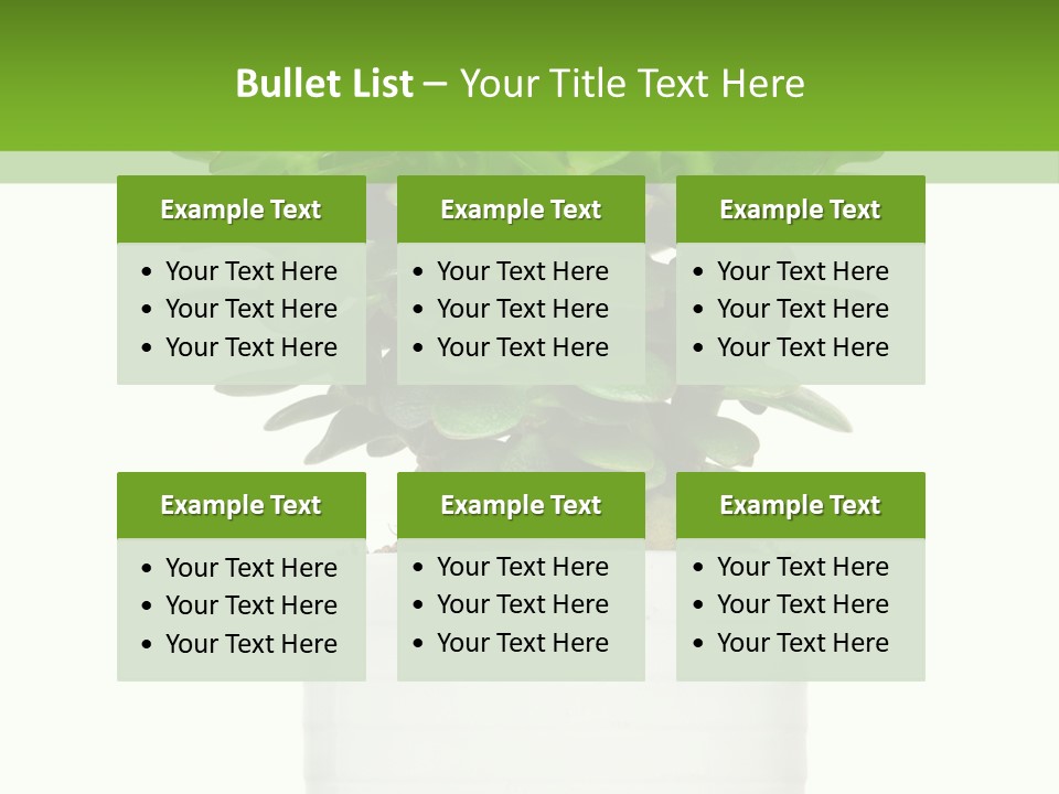 Floral Indoor Color PowerPoint Template