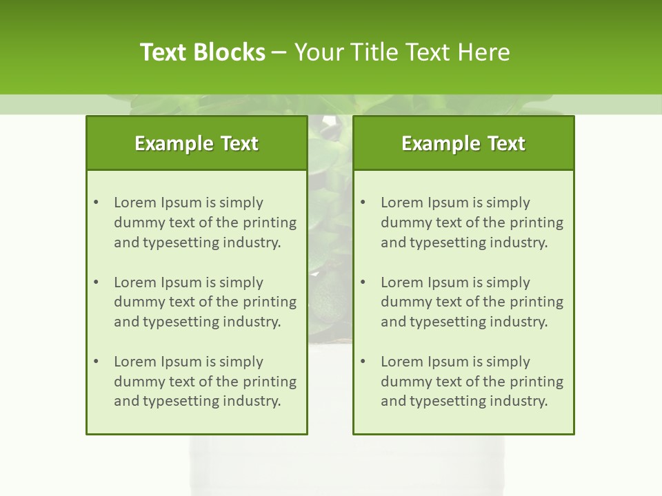 Floral Indoor Color PowerPoint Template