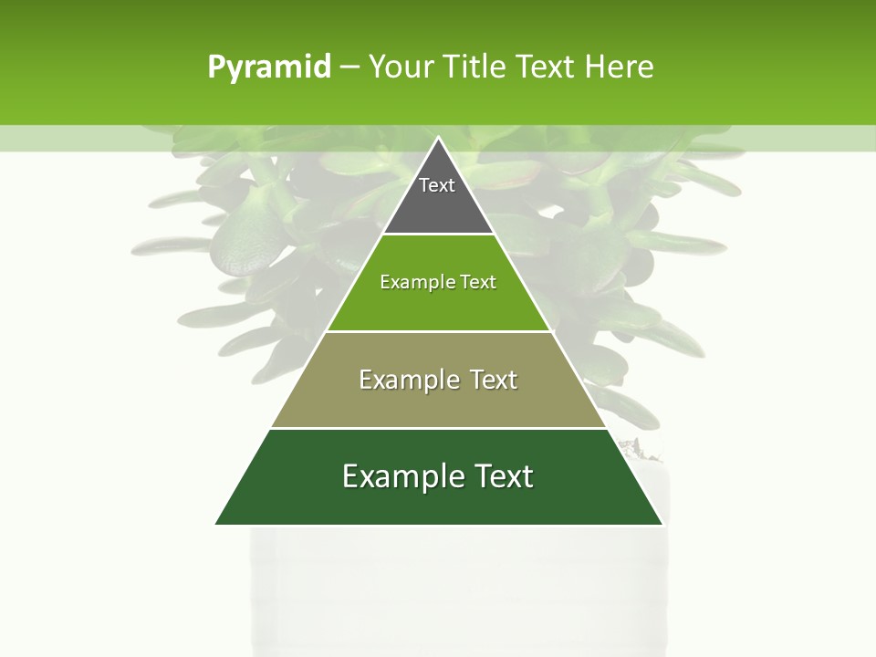 Floral Indoor Color PowerPoint Template