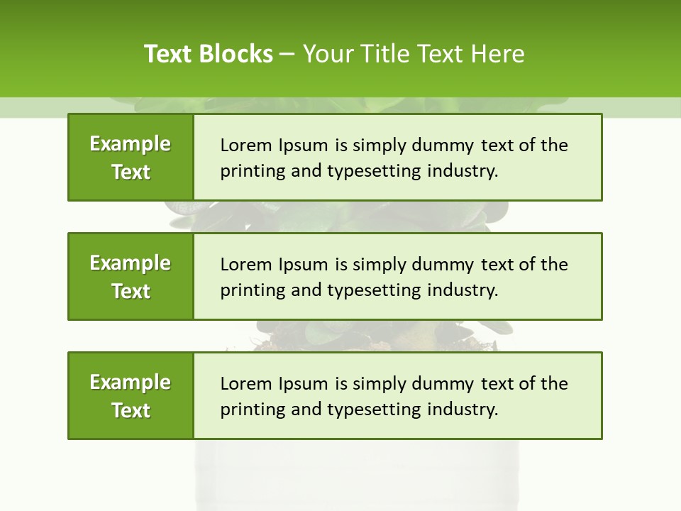 Floral Indoor Color PowerPoint Template