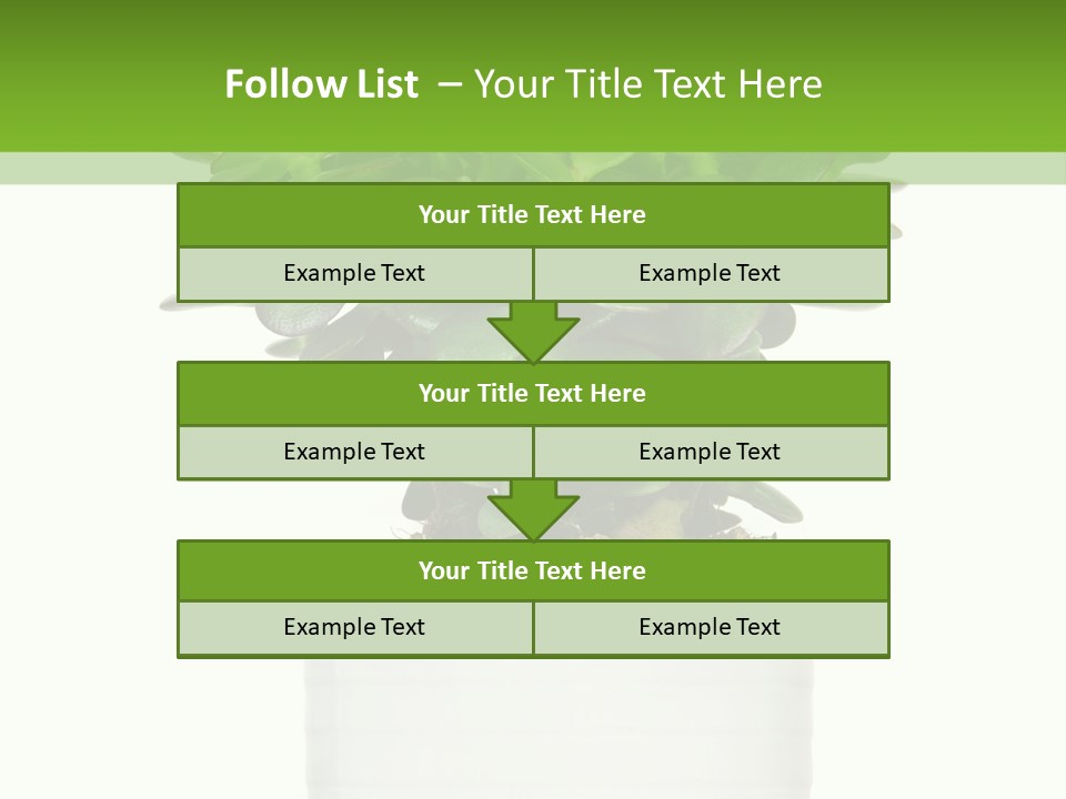 Floral Indoor Color PowerPoint Template