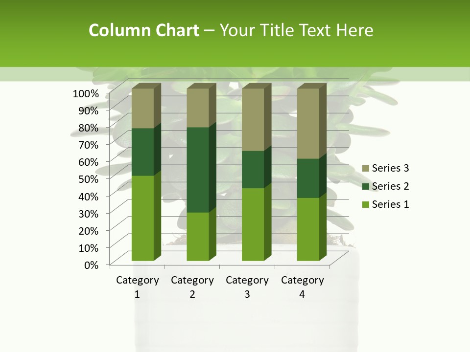 Floral Indoor Color PowerPoint Template