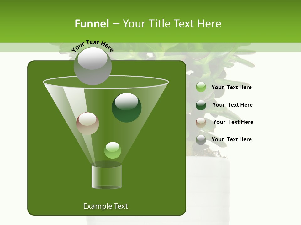 Floral Indoor Color PowerPoint Template