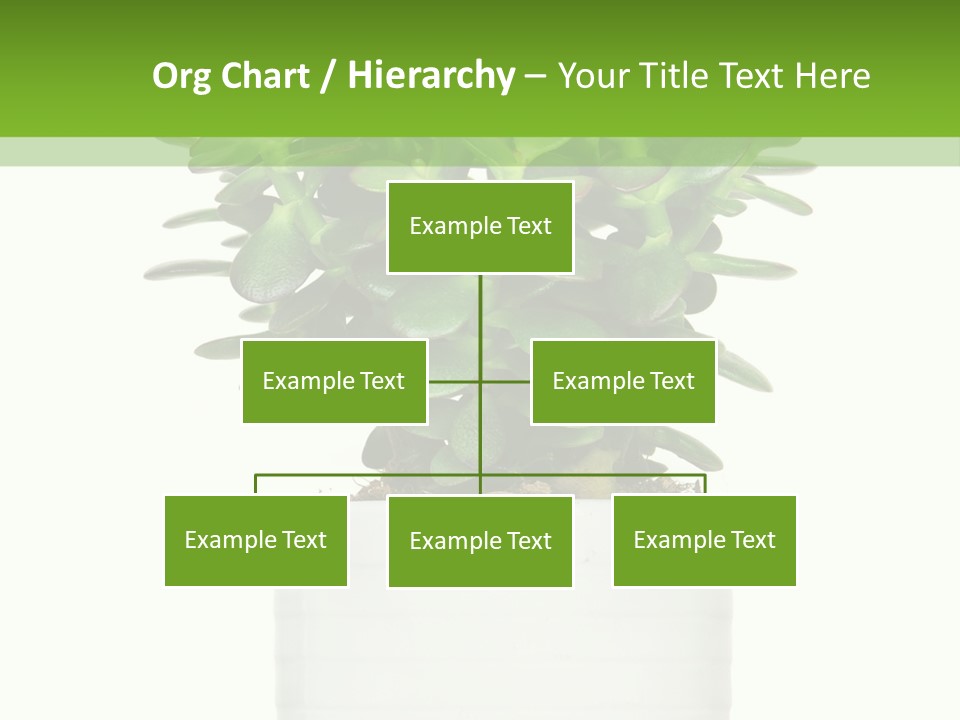 Floral Indoor Color PowerPoint Template