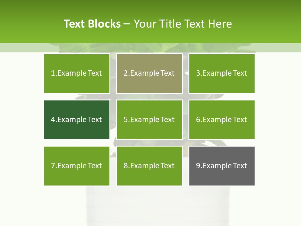 Floral Indoor Color PowerPoint Template