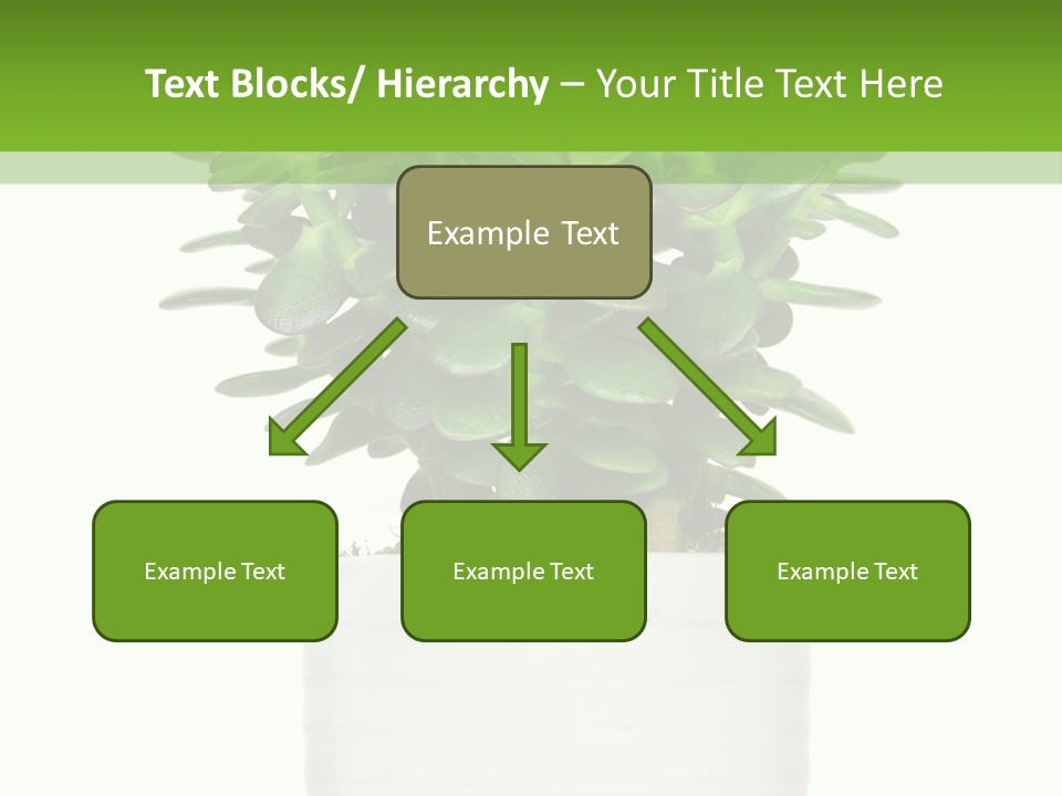 Floral Indoor Color PowerPoint Template