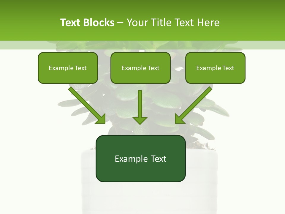 Floral Indoor Color PowerPoint Template