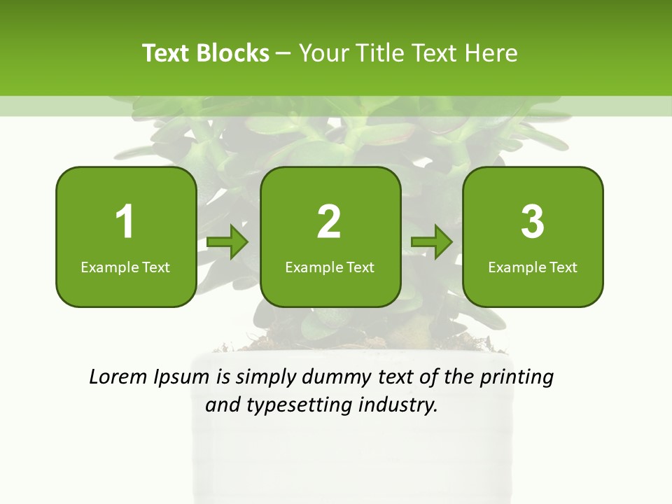 Floral Indoor Color PowerPoint Template