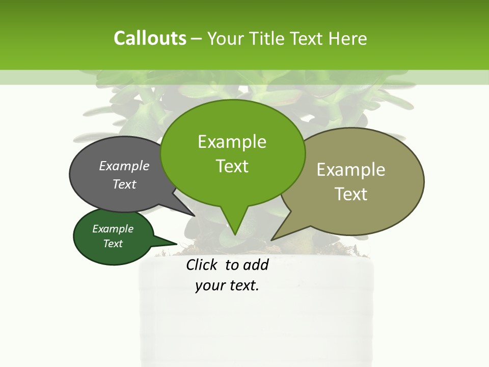 Floral Indoor Color PowerPoint Template