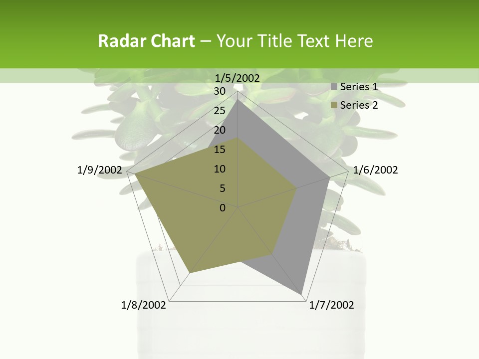 Floral Indoor Color PowerPoint Template