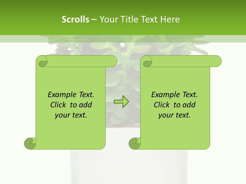 Floral Indoor Color PowerPoint Template